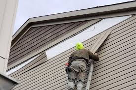 Best Siding Painting and Refinishing  in Jefferson, TX